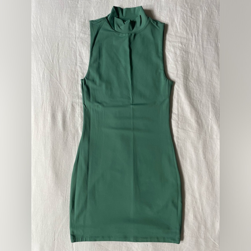 Aritzia Babaton mini dress